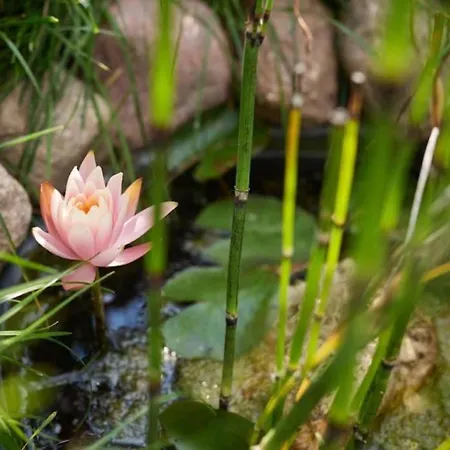 In Der Uckermark Tatil Evi *