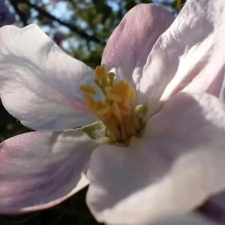 In Der Uckermark Tatil Evi Carmzow-Wallmow