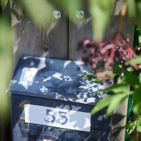 Tatil Evi In Der Uckermark