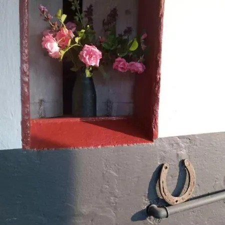 In Der Uckermark Ferienhaus Carmzow-Wallmow