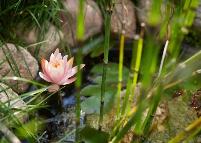 In Der Uckermark Prázdninový dům *
