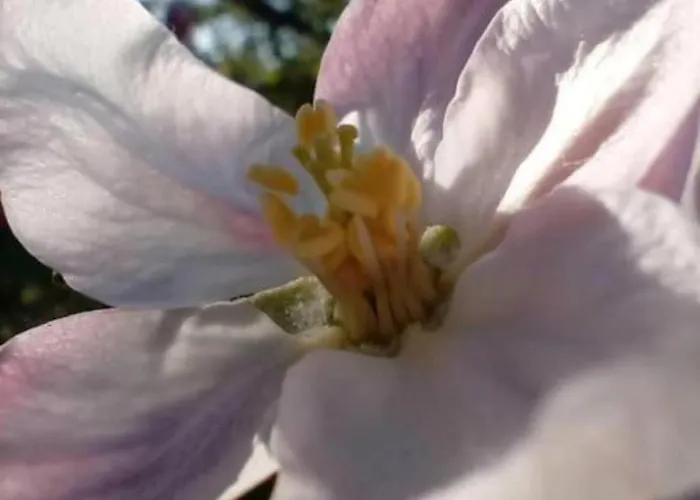 In Der Uckermark Prázdninový dům Carmzow-Wallmow